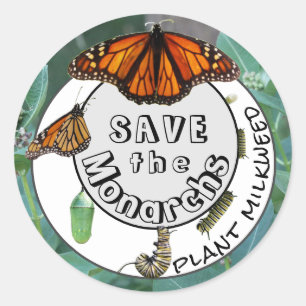 Monarch Life Cycle Pflanze Milkweed Runder Aufkleber