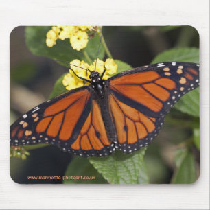 Monarch-Mauspad Mousepad