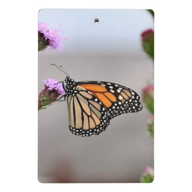 Monarch Mini Clipboard Klemmbrett (Rückseite)