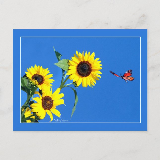 Monarch mit Gelb und Blau Postkarte (Vorderseite)