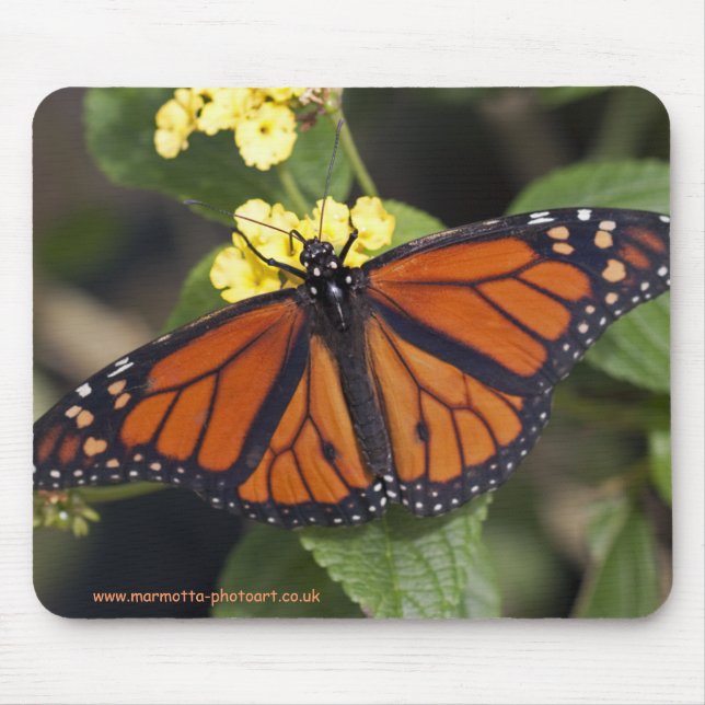 Monarch Mousemat Mousepad (Vorne)