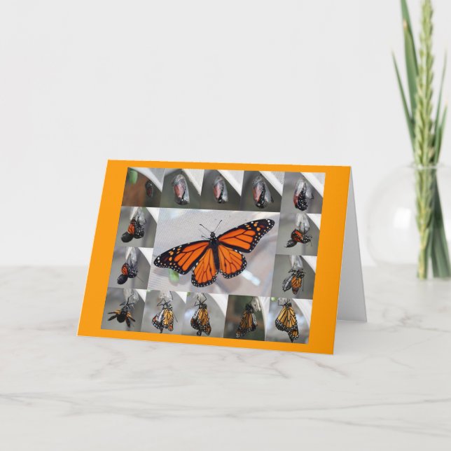 Monarch notecard karte (Vorderseite)