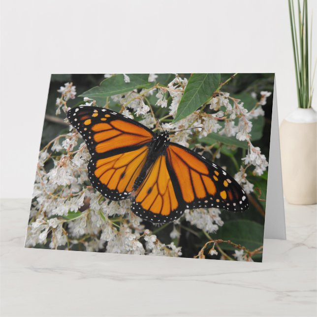Monarch oder Milkweed Butterfly Dankeskarte (Vorderseite)