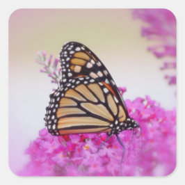 Monarch on Pink - Schmetterling Quadratischer Aufkleber