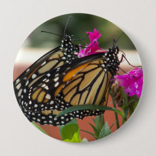Monarch paart #1-Button Button