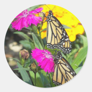 Monarch paart #2-sticker runder aufkleber