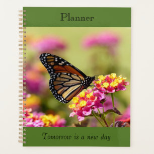 Monarch Planer