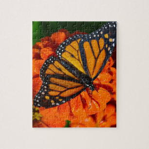Monarch Puzzle