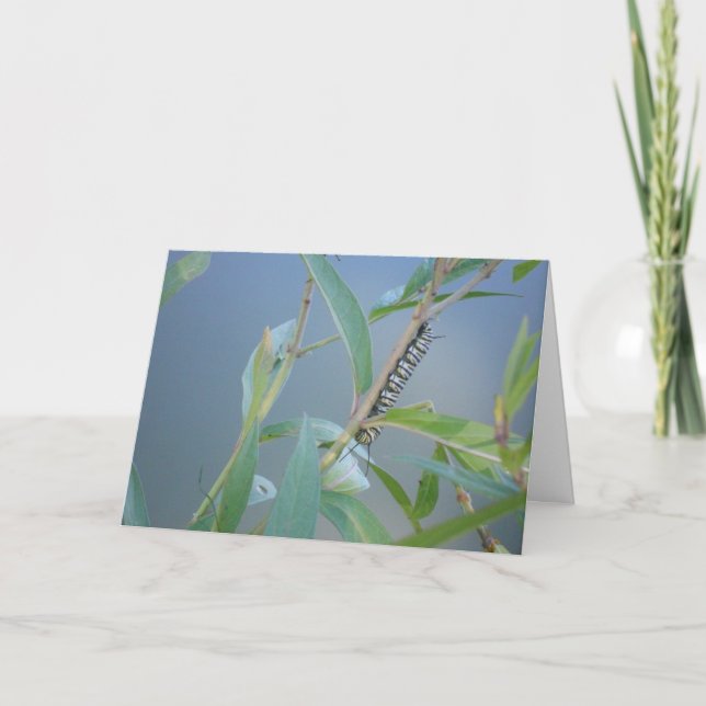 "Monarch Raupe #2" Osterkarte Karte (Vorderseite)