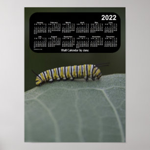 Monarch Raupe Calendar von Janz 2022 Poster