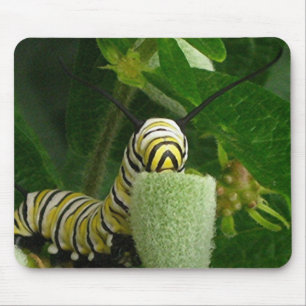 MONARCH-RAUPE mousepad