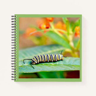 Monarch-Raupen-Spiralblock Notizbuch