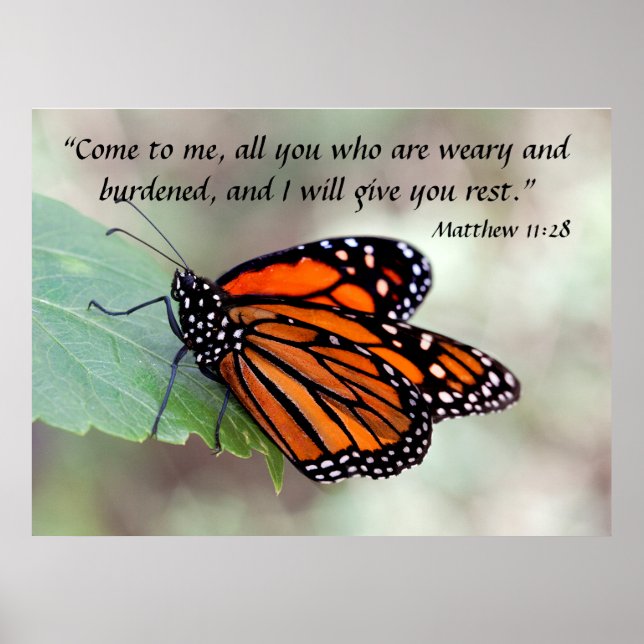 Monarch ruhend Matthew 11:28 Poster (Vorne)
