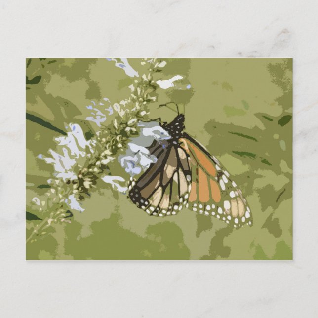 Monarch & Salvia Postkarte (Vorderseite)