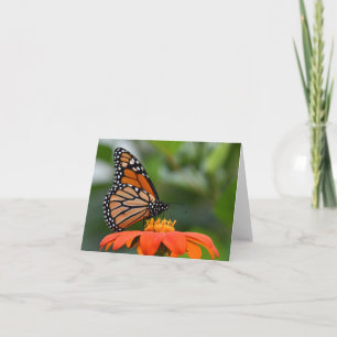 Monarch-Schmetterling auf Blume Karte