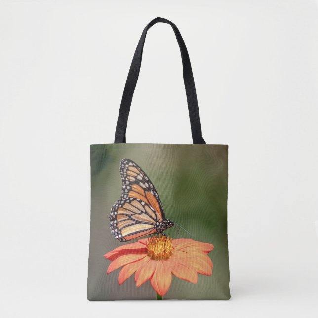 Monarch-Schmetterling auf einer orange Blume (Vorderseite)