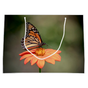 Monarch-Schmetterling auf einer orange Blume Große Geschenktüte