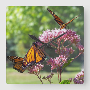 Monarch-Schmetterlinge auf lila Blumen Wanduhr