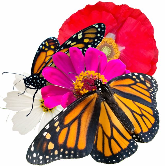 Monarch Schmetterlinge und Blume Skulptur Freistehende Fotoskulptur (Vorne)