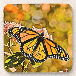 Monarch-Schmetterlings-Gartenkunst Getränkeuntersetzer