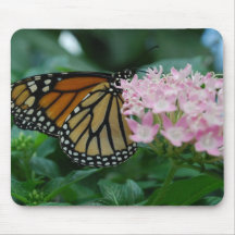 Monarch-Schmetterlings-Mauspad