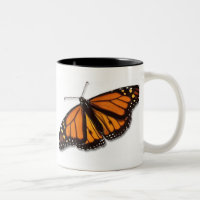 Monarch-Schmetterlings-Trinkbehälter