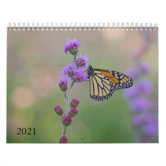 Monarch-Schmetterlingskalender Kalender