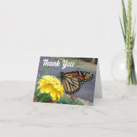 Monarch Sipping Yellow Zinnia Dankeschön Karte