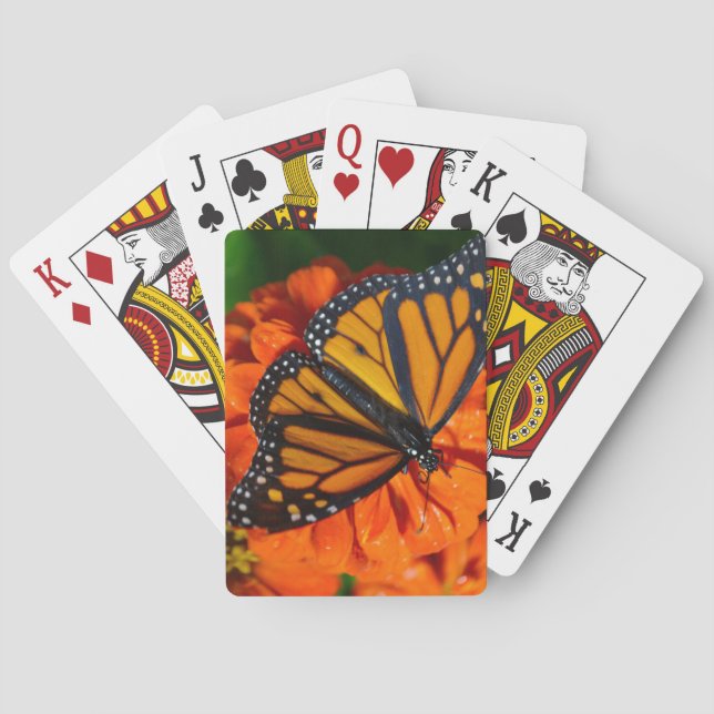 Monarch Spielkarten (Rückseite)