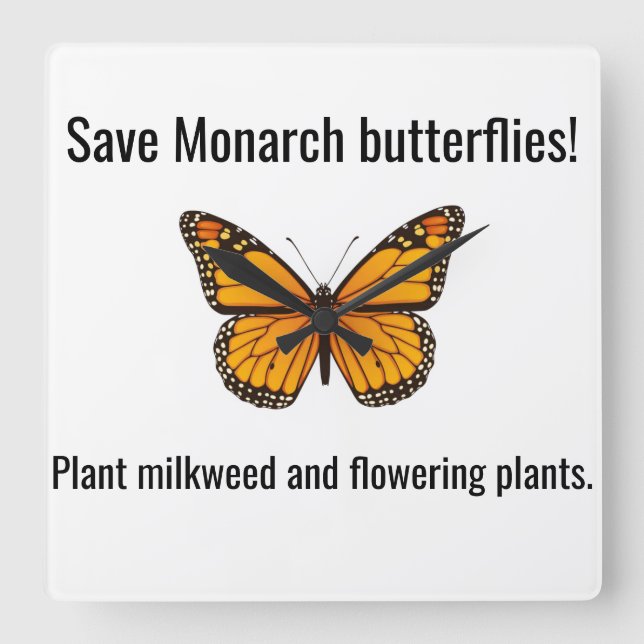 Monarch Square Wall Clock Quadratische Wanduhr (Vorderseite)