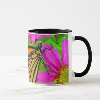 Monarch über die Daisy-Tasse Tasse