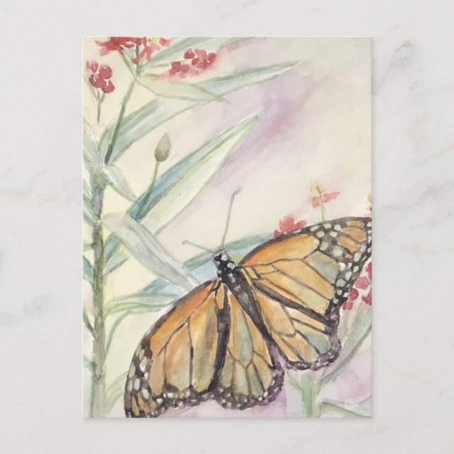 Monarch und Milkweed Postkarte (Vorderseite)