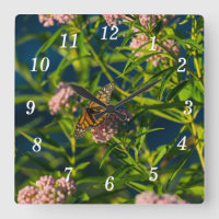 Monarch und Milkwegemauer