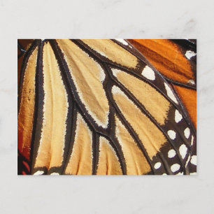 Monarch Wing ~ Postkarte