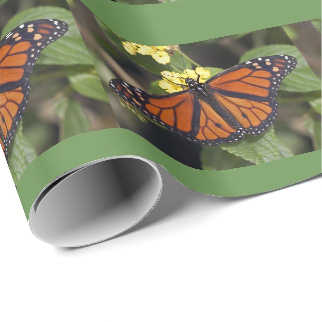 Monarch Wrapping Paper Geschenkpapier (Rolleneckpunkt)