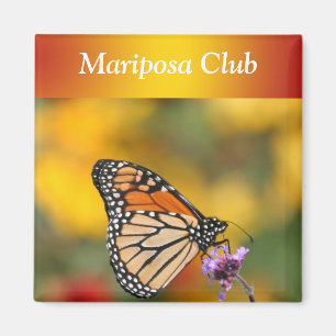 Monarchfalter auf der Suche nach Blütenstaub Magnet