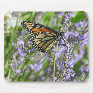 Monarchfalter auf Lavendelblüten Mousepad