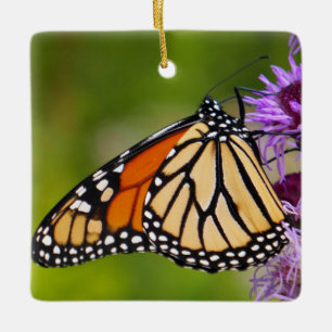 Monarchfalter auf Liatris Keramikornament