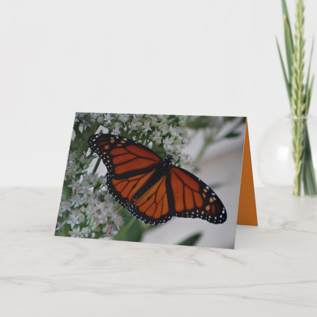 Monarchfalter auf Sedum Karte (Vorderseite)