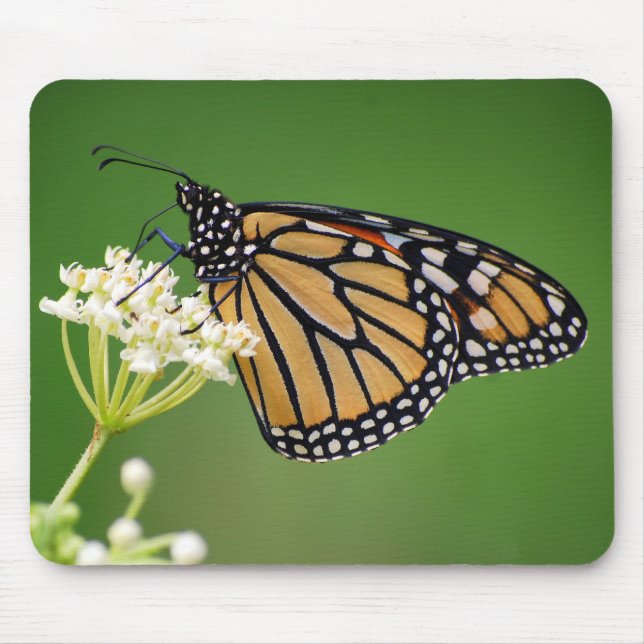 Monarchfalter auf SumpfMilkweed Mousepad (Vorne)