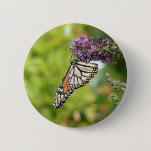 Monarchfalter auf violettem Schmetterlingsflieder Button