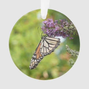 Monarchfalter auf violettem Schmetterlingsflieder Ornament