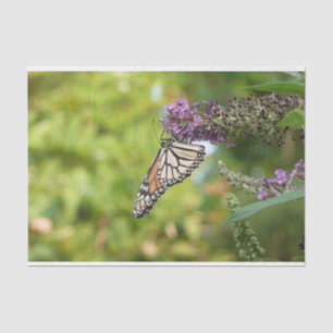Monarchfalter auf violettem Schmetterlingsflieder Seidenpapier