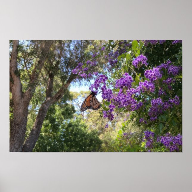 Monarchfalter auf violetten Blumen Poster (Vorne)
