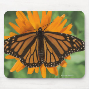 Monarchfalter (Danaus plexippus) auf Topf Mousepad