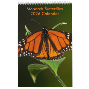 Monarchfalter Ein-Seiten-Kalender Kalender