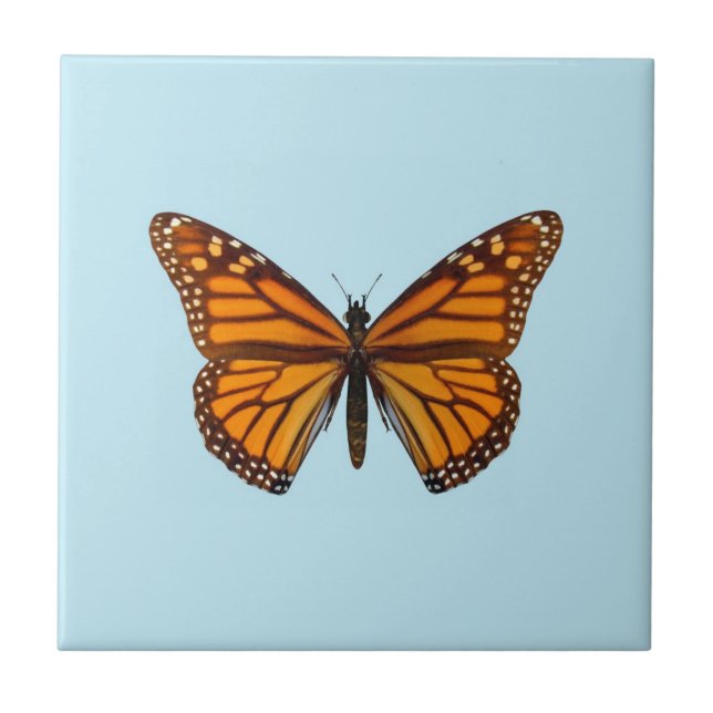 Monarchfalter Fliese (Vorderseite)