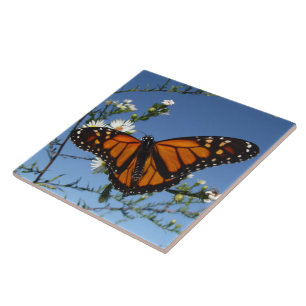 Monarchfalter-Fliese Fliese
