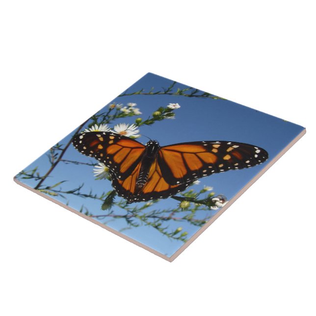 Monarchfalter-Fliese Fliese (Seite)