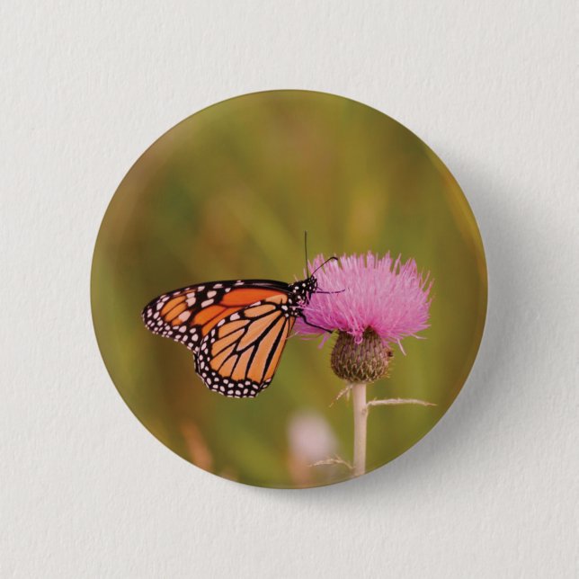 Monarchfalter-Knopf Button (Vorderseite)